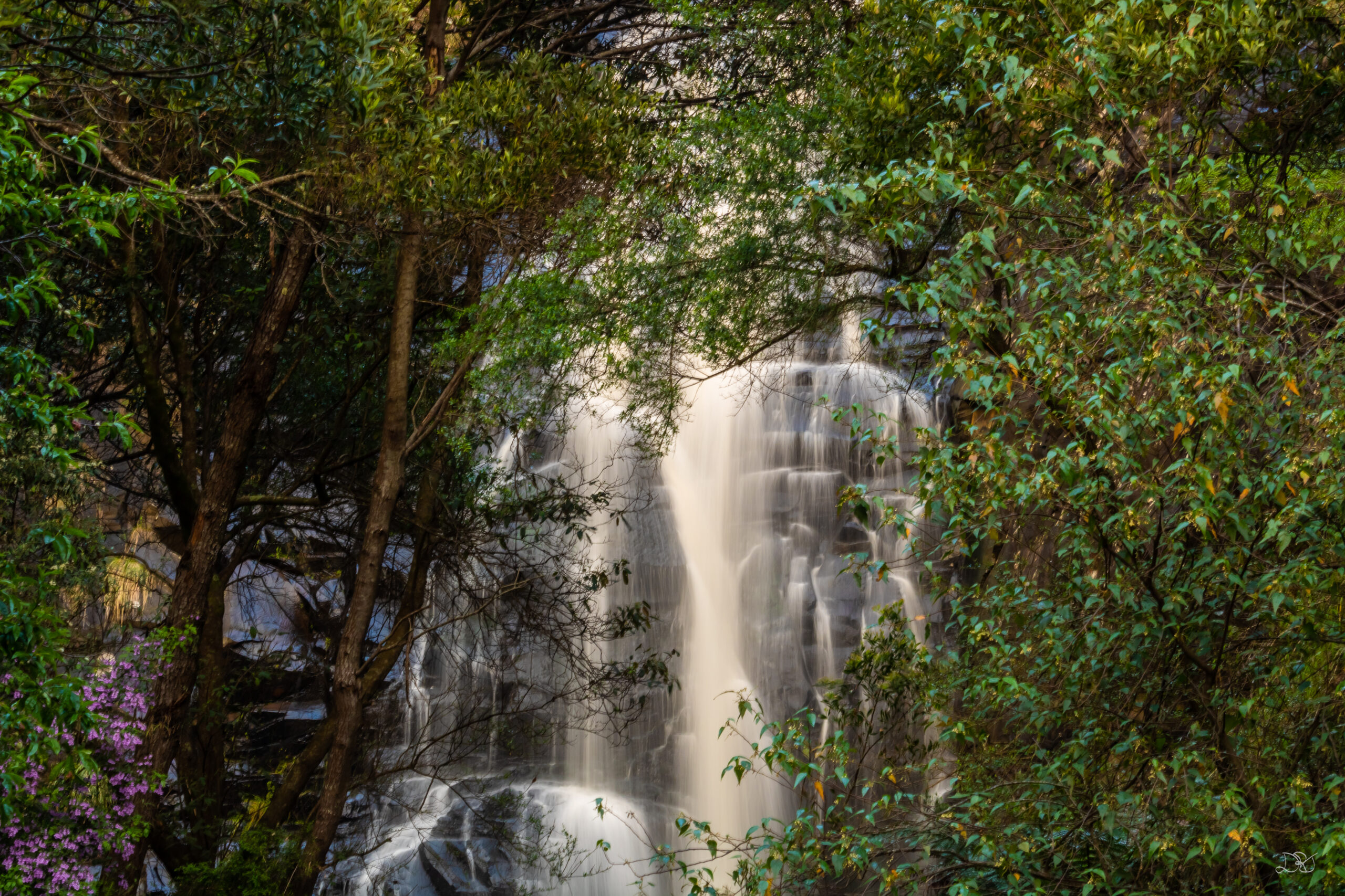 Hidden Falls